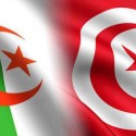 تونس الجزائر