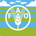 منظمة الأغذية والزراعة للأمم المتحدة "الفاو"