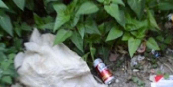 خمر بالمدرسة