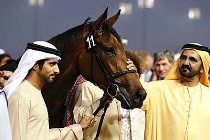 حاكم دبي والفروسية