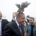 اردوغان والطائر