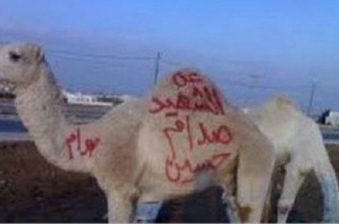 أردني يقدم أضحية عن روح صدام حسين