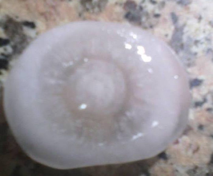 برد على شكل "عين" يرعب المواطنين بسليانة