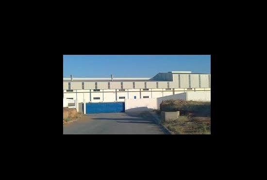 عقارب - مصنع "لاريا العالمية للخزف"