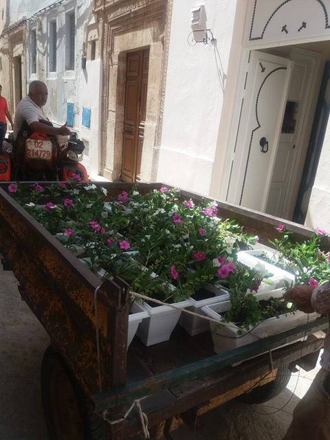 المدينة العتيقة - صفاقس - نهج الشيخ التيجاني - زقاق الذهب 