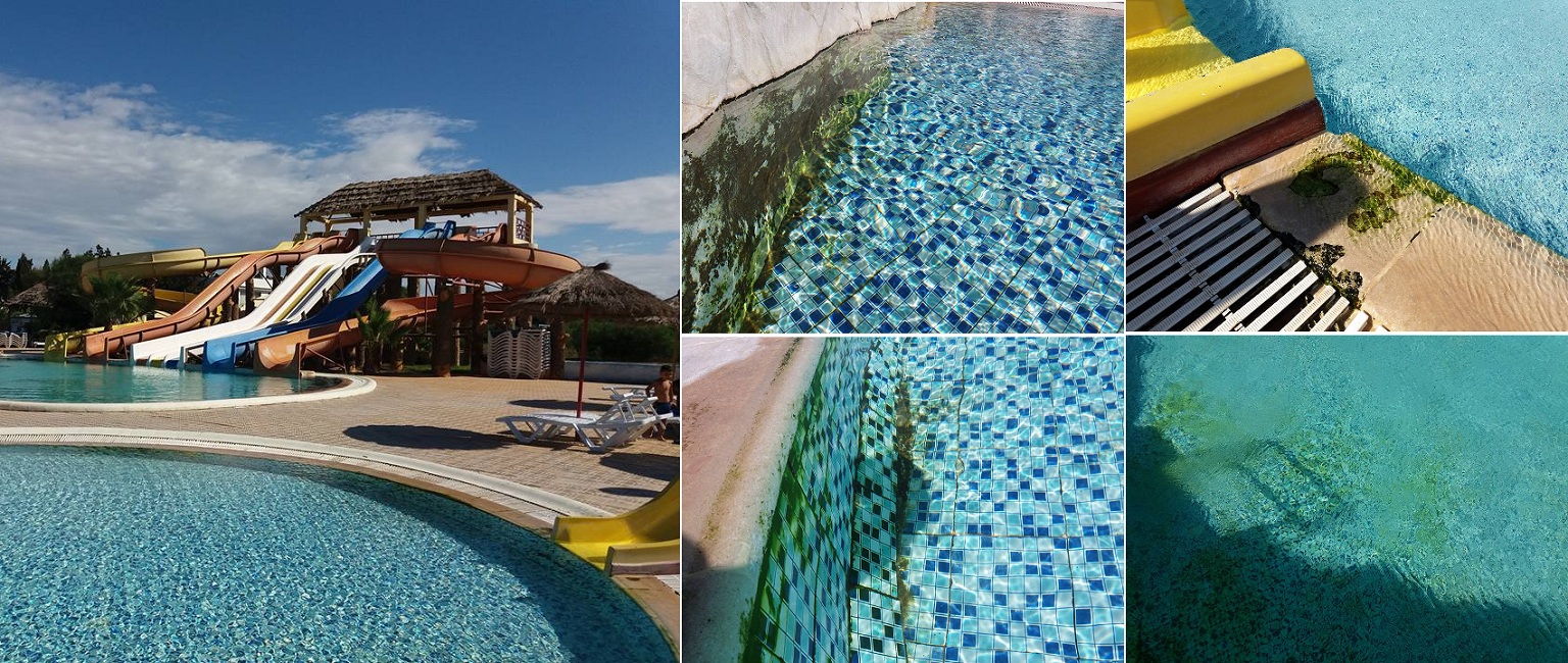 حالة رديئة ومقززة لمسبح في قلب الحمامات 