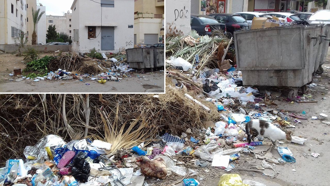 صفاقس - روائح - ناموس - فضلات