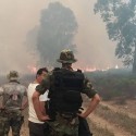 حريق - حرائق - نيران - غابة - غابات - تونس