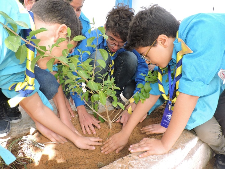 الكشافة التونسية بصفاقس تحيي العيد الوطني للشجرة بمختلف مناطق الجهة