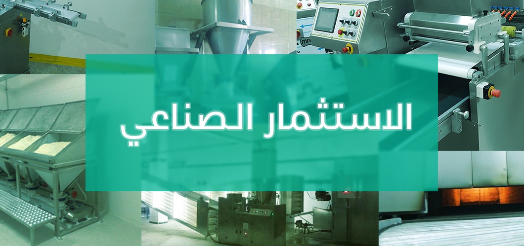 الاستثمار الصناعي