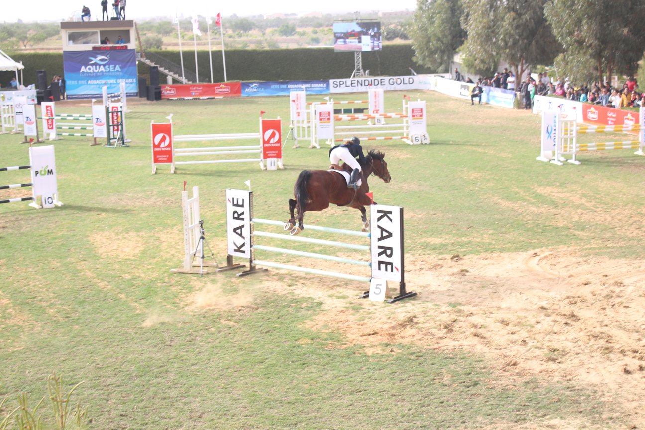 صفاقس - نادي جافورة : إختتام تظاهرة الجائزة الكبرى للمسابقة الوطنية للقفز على الحواجز