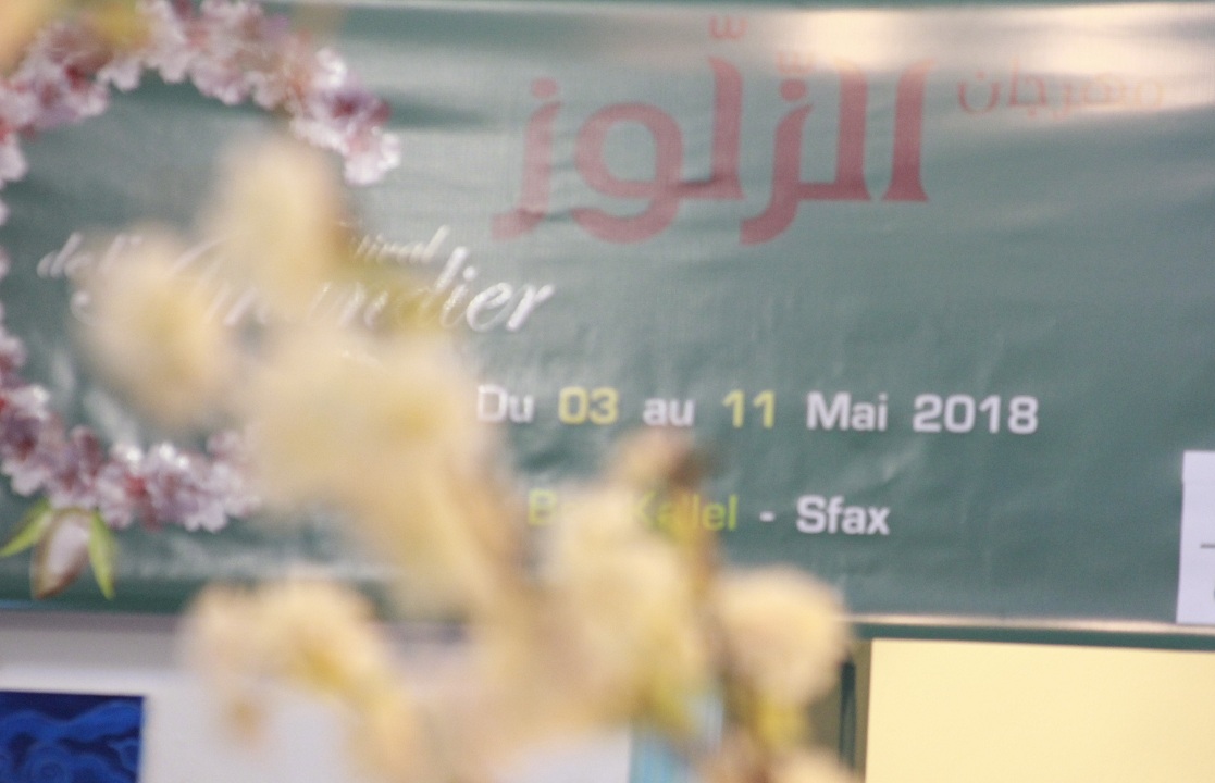 صفاقس : جمعية أحباء الفنون التشكيلية ببرج القلال تنظم الدورة الأولى لمهرجان "الزلوز"