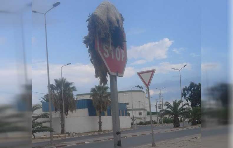 صورة اليوم في صفاقس: علامة "قف" تتمنى لكم عيدا سعيدا !