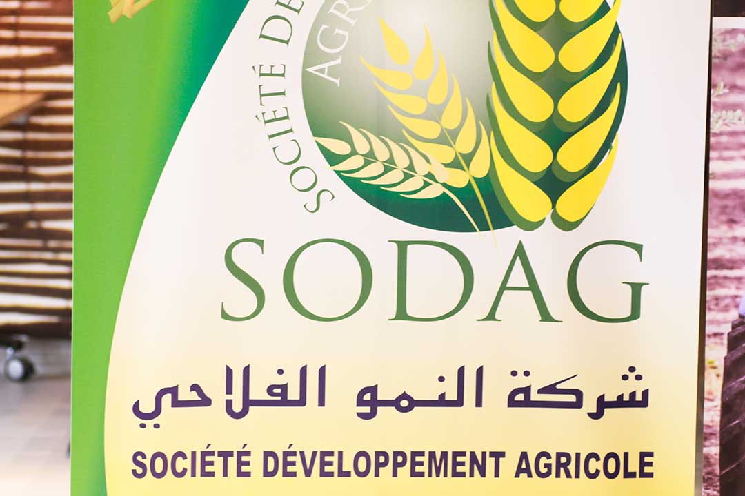 شركة النمو الفلاحي SODAG 