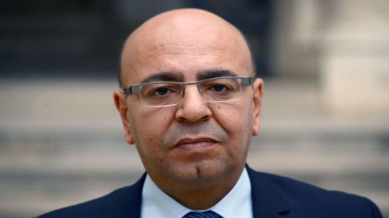 محمد الفاضل محفوظ