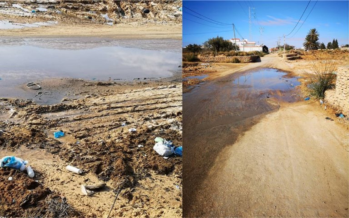 مياه راكدة-تلوث-المحرس