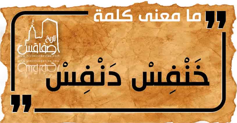 ما معنى كلمة خَنْفِسْ دَنْفِسْ ؟ كلمات صفاقسية من قاع الخابية