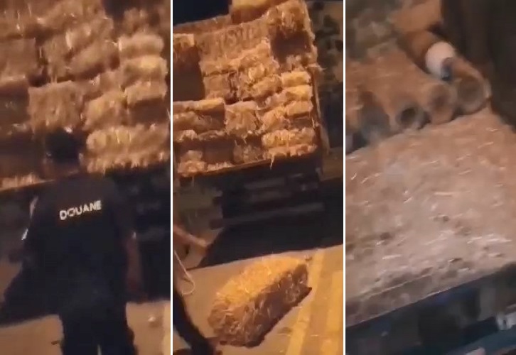 الحرس الديواني بصفاقس يحجز 27 قارورة أكسجين على متن شاحنة تحت أكوام التبن ( فيديو )