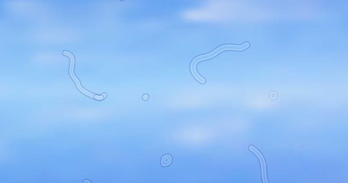 الذباب الطائر أمام العين