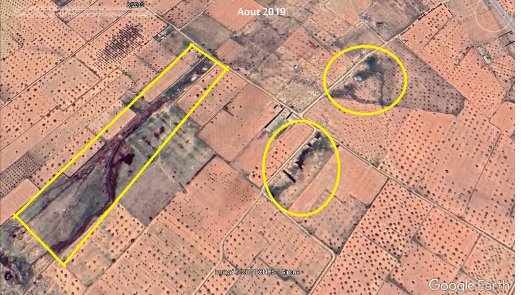 فلاحو صفاقس يستغيثون: المرجين" يحاصر أراضينا بطريق قرمدة كم 16"