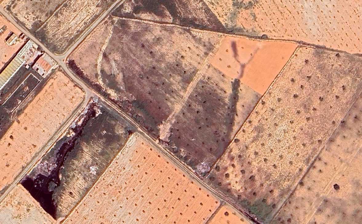 فلاحو صفاقس يستغيثون: المرجين" يحاصر أراضينا بطريق قرمدة كم 16"